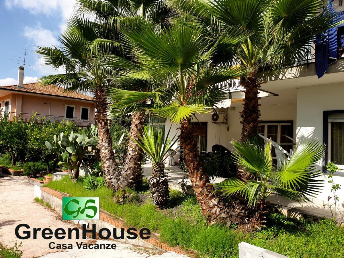 Greenhouse ماسكالوتشا المظهر الخارجي الصورة